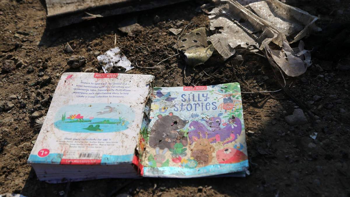 Годовщина авиакатастрофы МАУ: пострадавшие страны сделали заявление Годовщина авиакатастрофы МАУ: пострадавшие страны сделали заявление
