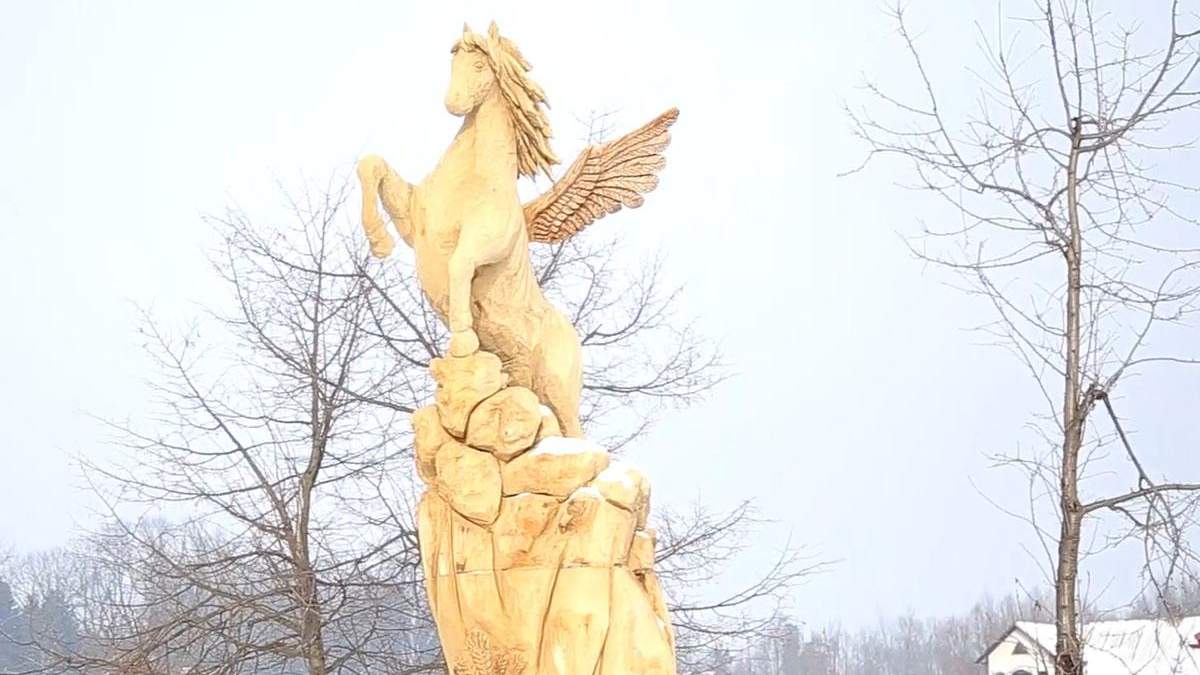 На узбіччі Буковинського села з'явився дерев'яний Пегас На узбіччі Буковинського села з'явився дерев'яний Пегас