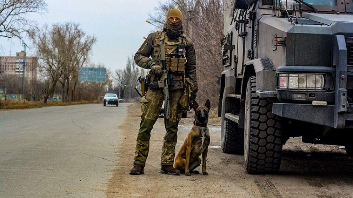 Собака помогла отыскать схрон боеприпасов в Авдеевке: фото Собака помогла отыскать схрон боеприпасов в Авдеевке: фото