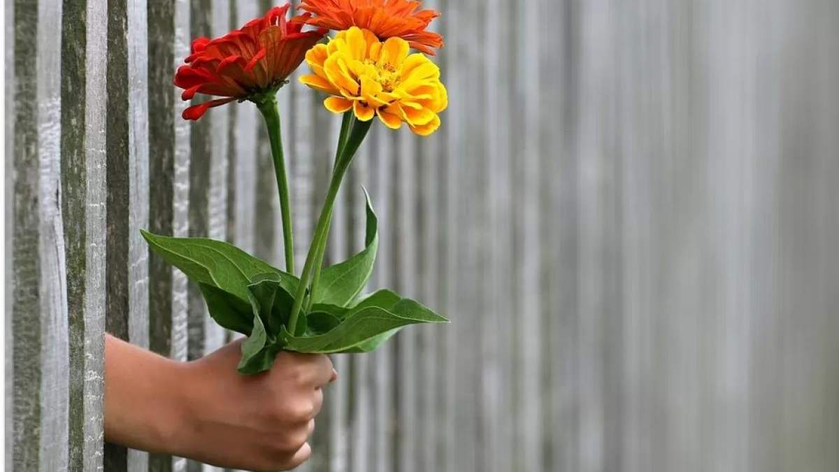 8 березня - 10 важливих порад чоловікам - Новини 8 березня - 10 важливих порад чоловікам - Новини