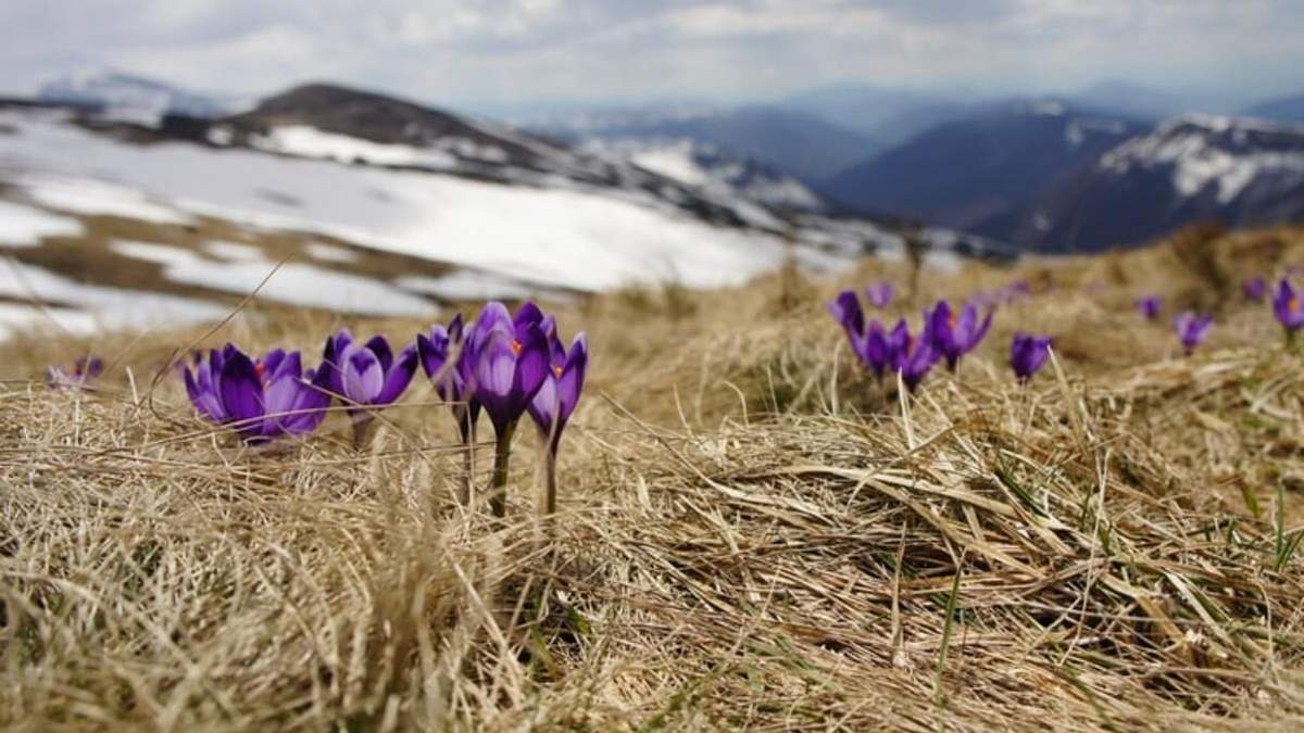 Погода 4 марта 2021: прогноз от синоптиков Украины Погода 4 марта 2021: прогноз от синоптиков Украины